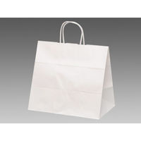 パックタケヤマ 紙袋 自動手提袋 V75 晒 無地 68751 1袋(50個)（直送品）