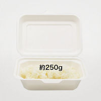 パックスタイル 弁当容器 ABランチ180-130 649711 1袋(50個)（直送品）