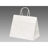 パックタケヤマ 紙袋 自動手提袋 HV68 晒 無地 68701 1袋(50個)（直送品）