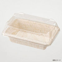 パックスタイル バガス容器 WB 16-11 604004 1袋(50個)（直送品）