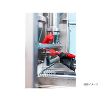 ヴァイカン ブラシ エクステリアブラシ ミディアム レッド 53724 1個（直送品）