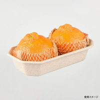 パックスタイル バガス容器 WBフルーツ 2L 615417 1袋(50個)（直送品）