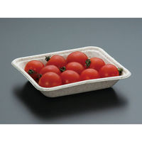 パックスタイル バガス容器 WB 15-12 604001 1袋(50個)（直送品）