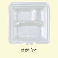 JSPパッケージング 弁当容器 テイクアウトボックス24-24CB 255605 1袋(50個)（直送品）