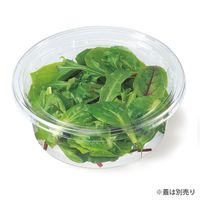 リスパック 汎用透明カップ バイオカップ G 250BL 本体 PABC113 1袋(100個)（直送品）