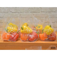 パックスタイル 青果用袋 PSスタンドバッグ No.2B 00506562 1袋(100個)（直送品）