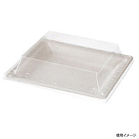 パックスタイル バガス容器 WBプレート 20-17 639720 1袋(50個)（直送品）