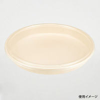 パックスタイル バガス容器 BB丸桶 6 ラミ 398φ×45H 654440 1袋(10個)（直送品）