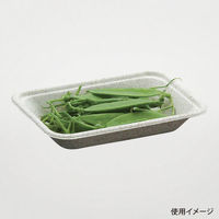 パックスタイル バガス容器 WB 15-10 604005 1袋(50個)（直送品）