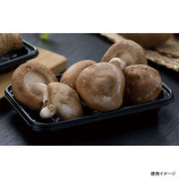 リスパック トレー PSトレー150C 黒 FPPS162 1袋(100個)（直送品）