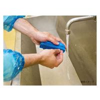 ヴァイカン ブラシ ネイルブラシ ブルー 64403 1個（直送品）