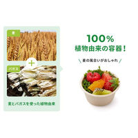 パックスタイル バガス容器 WBカップ 62-40 ラミ LN-C 1袋(50個)