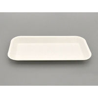 ペーパーウェア 紙トレー CT-2 クリーントレーNo.2 1袋(100個)（直送品）