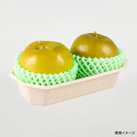 パックスタイル バガス容器 WBフルーツ 2M 615415 1袋(50個)（直送品）