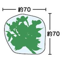 ユニバース フィルムシート グルメシート 桜 丸 11101 1袋(1000枚)（直送品）