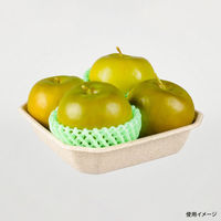 パックスタイル バガス容器 WBフルーツ 4M 617868 1袋(50個)（直送品）