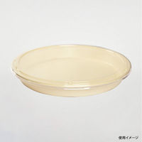 パックスタイル バガス容器 BB丸桶 5 ラミ 365φ×45H 654439 1袋(10個)（直送品）