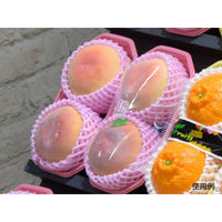 パックスタイル 青果・農産容器 PS BPフルーツ 2L ピンク 470090 1袋(100個)（直送品）