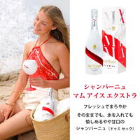 マム アイスエクストラ シャンパーニュ ドゥミセック やや甘口 750ml 1本 シャンパン ギフトボックス入り お祝 ペルノ・リカール