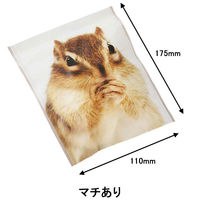 包む ジップBAGシマリス T2827 1パック（5枚入り）