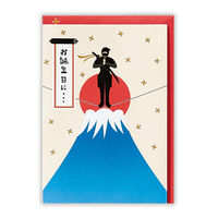 日本ホールマーク お誕生日祝い グリーティングカード 立体 忍者・分身の術2 1セット（6枚）