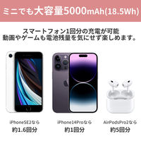 小林薬品 RABLISS miniモバイルバッテリー KO361 (ブラック) 10002650BK 1個