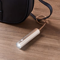LEXON 高輝度LEDライト ミニライト 充電式 持ち運び FINE BAG LIGHT2 GUNMETAL LL129X 1個