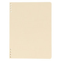 ロルバーン フレキシブル リフィル A5 5mm方眼 クリーム ノート デルフォニックス（Rollbahn）