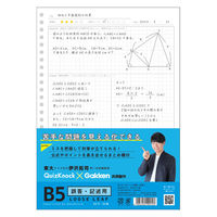 QuizKnock×Gakken B5ルーズリーフ 誤答・記述 2パック（30枚入×2） ED030-79 学研ステイフル