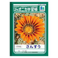 ショウワノート ジャポニカ学習帳 さんすう（算数）B5 17マス JL-2 2冊