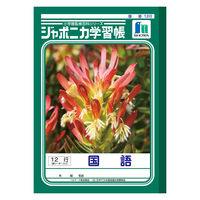 ショウワノート ジャポニカ学習帳 国語（こくご）B5 12行 縦リーダー入り JL-11 2冊