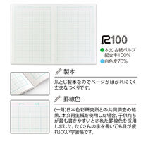 学習帳　こくご　セミB5　ムーミン　15マス　リーダー　2冊　LU315R　日本ノート