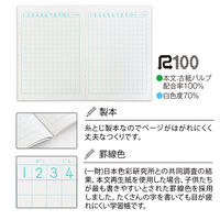 学習帳　さんすう　セミB5　ムーミン　17マス　2冊　LU117　日本ノート