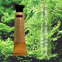 歯磨き粉 木曽檜 歯磨きジェル 天然素材 口臭予防 発泡剤不使用 30g 1本 日本製 木曽檜三百年