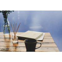 大香 TOLEWA（トレワ）リードディフューザー CG  ルームフレグランス ルームディフューザー 芳香剤 フレッシュリーフの香り 100mL 1個