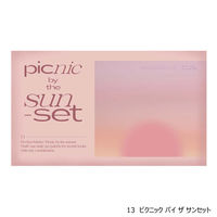 CLIO（クリオ） プロ アイ パレット #13 ピクニック バイ ザ サンセット DOOWON 韓国コスメ