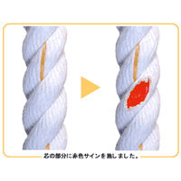 石田製綱 法面専用親綱　ロイヤルセーフ2ロープ 1122710301 1巻（直送品）