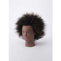 アイビル 縮毛矯正用トレ-ニングマネキン アフロヘアー トリコインダストリーズ