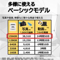 KIOXIA(キオクシア) SDカード 256GB class10 SDXC KCA-SD256GS EXCERIA BASIC  標準画質録画 旧東芝メモリ