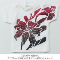 マービー 布スプレー2 不透明色 カーボンブラック 2528242 1セット(1本×3)