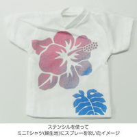 マービー 布スプレー2 不透明色 スカイブルー 2528251 1セット(3本)（直送品）