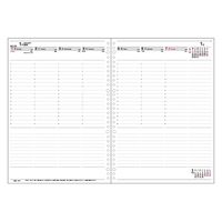 コレクト 日記リーフ　ウィーク　Ａ４　３０穴 C-4457(2024) 2冊（直送品）