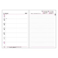 コレクト 日記リーフ　ウィーク　Ｂ５　２６穴 C-457(2024) 3冊（直送品）