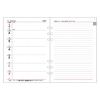 コレクト 日記リーフ　ウィーク　Ａ５　６穴 C-567(2024) 3冊（直送品）