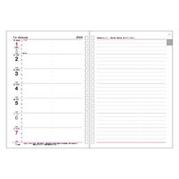 コレクト 日記リーフ　ウィーク　Ａ５　２０穴 C-557(2024) 5冊（直送品）