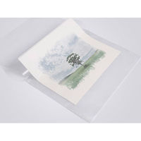 ナカバヤシ アーテムグラフィックファイル /クリア CBCT-GB3C 1セット(2冊)（直送品）