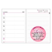 コレクト ウィークダイアリー　Ｂ５ D-343(2024) 2冊（直送品）