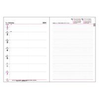 コレクト ウィークダイアリー　Ｂ５ D-42(2024) 2冊（直送品）