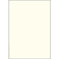 ヒサゴ A4 NC クリーム FSCF2000C 1セット(1冊×2)