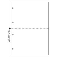 ヒサゴ A4NC白紙2面4穴 FSCF2003 1セット(2冊)